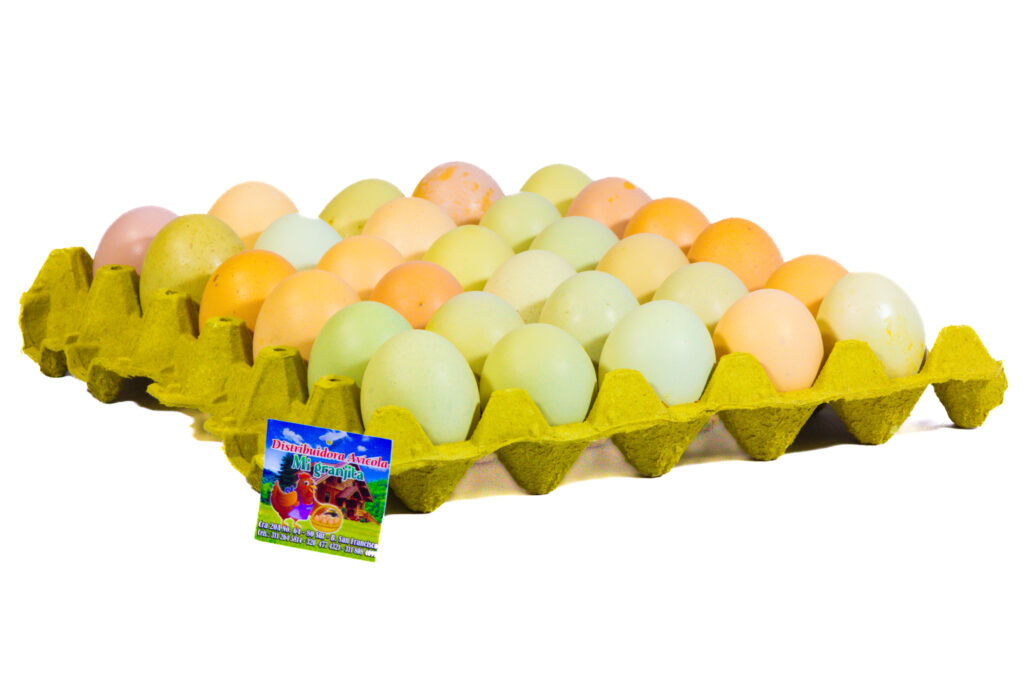 Huevo Criollo Bogota Avicola Mi Granjita